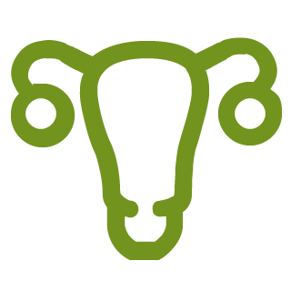 كيف تعمل ميزة أنماط الجلوكوز في تطبيق معارف جلوكوز mySugr