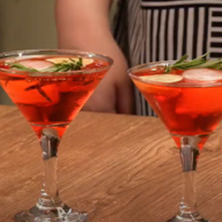 Hibiscus Coconut Fizz (Modified and Swapped Ingredients)